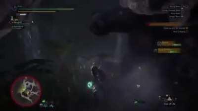 Rajang yeeting Rathalos out of existence