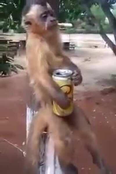 mucalol qnd bate a saudade da mayumi