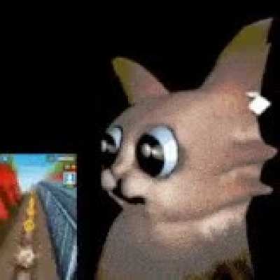 Why is car looking at subway surfers is he stupid?