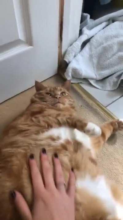 bigboybigboybigboybigboy