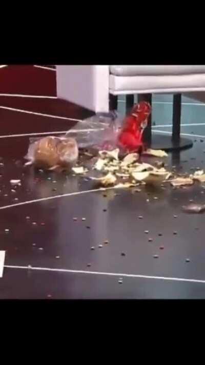 La mejor televisión del mundo