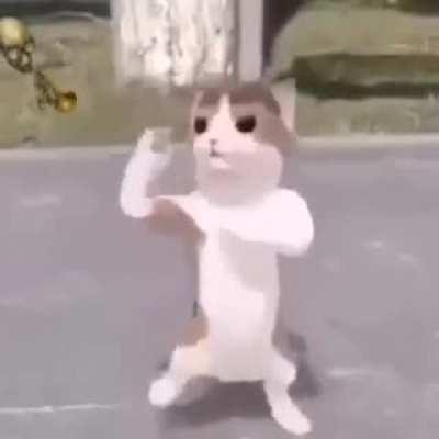 prueba para un server jsjs