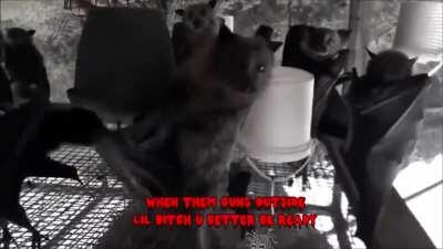 When the vamps ousside lil bitch u betta ready