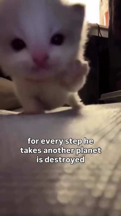 NOOOOO LUNK PLEASE STOPPP PLEASEEE