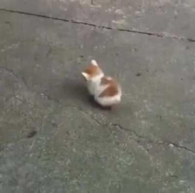 randomly found this in my gallery lol