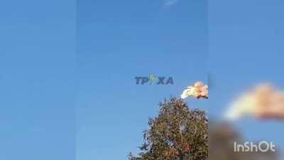 Happy 10000 visually confirmed Ls