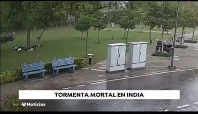 HMFT after I look for shelter under a tree during a thunderstorm.