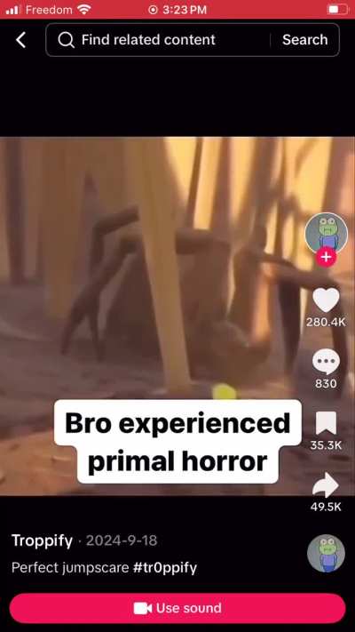 Is that a dead spider?!