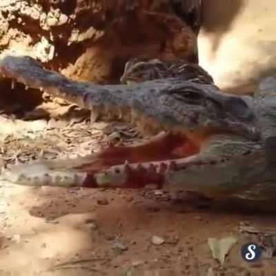 Sometimes there is a such thing as a free meal