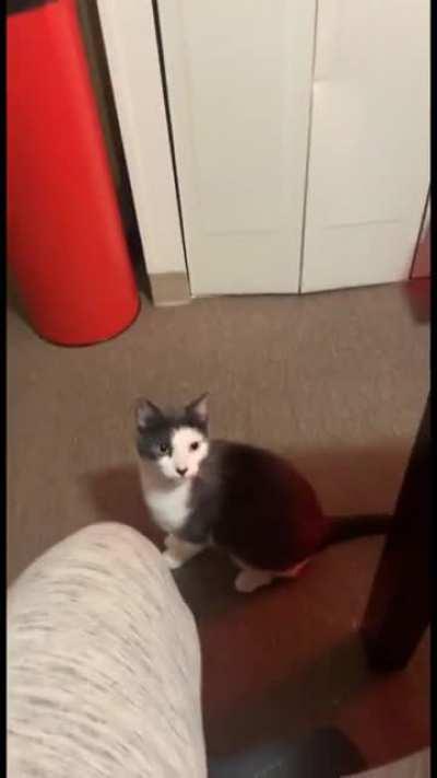 Focused on the mission.