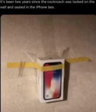 It’s been 2 years since the cockroach was locked to the wall and sealed inside the iPhone box