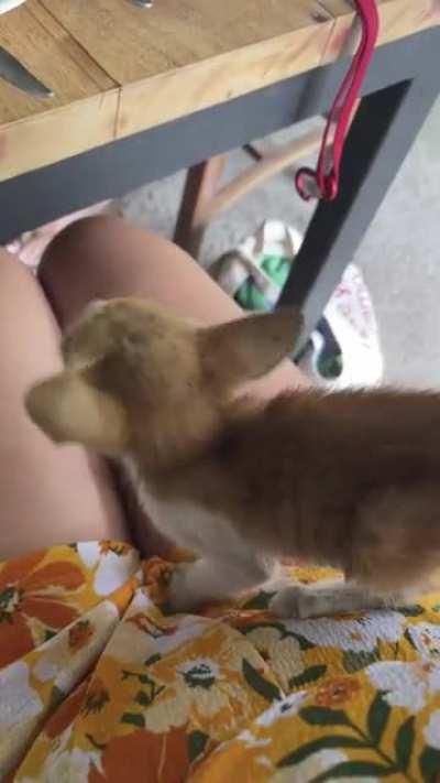 the place i went canyoning in bali has some very yelly staff that demands we share our food