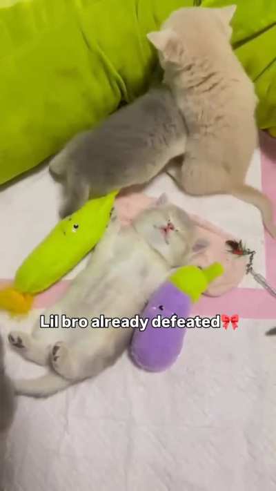 he fell in battle :( 07