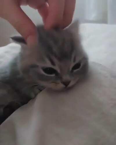 🤍Somehow no one has crossposted this jailbird yet. WANTED.