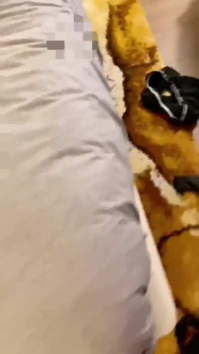 I can’t understate how fun and sexy my first threesome/spitroast/hotwife experience was 😈 hubby loves to watch, but he had to jump in after seeing that amazing view he captured 😜