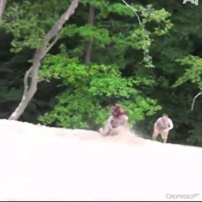Launching someone using a tree branch WCGW