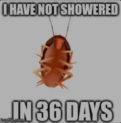 one of the most underrated lemon demon songs in my opinion 