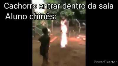 Xing xong -mestre miyagi 1500 ac