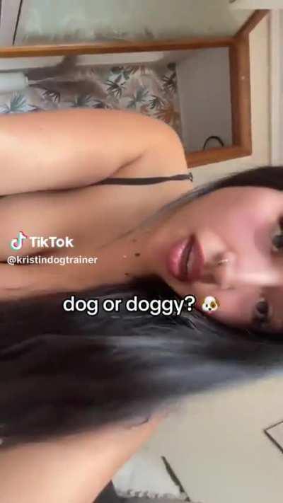 @kristindogtrainer Can you guess it right?