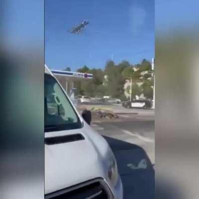 Police pursuit in LA ends with downed power lines and a public freakout