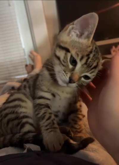 Look at this baby, he needs love