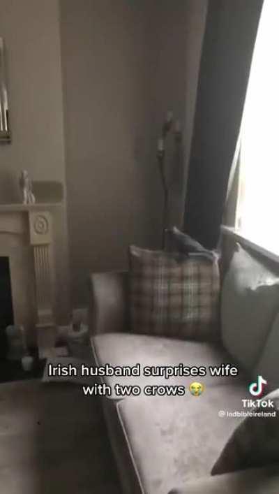 Rick and morty episode 9 season 5