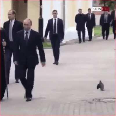 Vladimir's personal protection drone reporting for duty