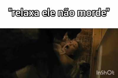 Ele só quer brincar