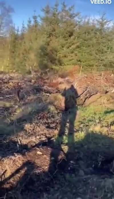 This video single-handedly breaks every known law of nature according to the federation