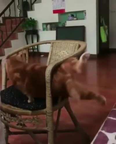 Oh No what have I done