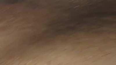 ys rats of Manhattan, it was 17f degrees out