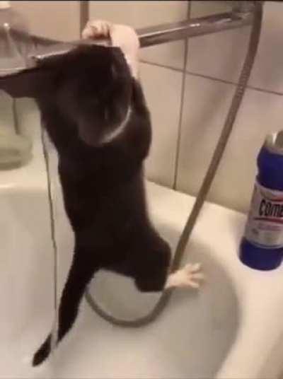 Almost no memes use the night ocean theme, so here's one