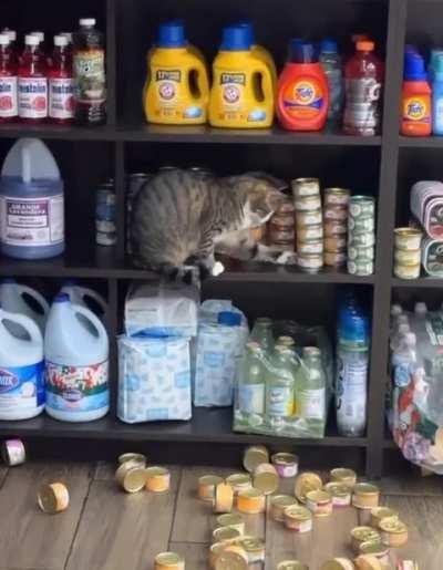 This asshole snuck into the store and started dumping canned goods.