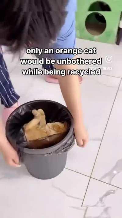 Reduce, Reuse, Rewunk