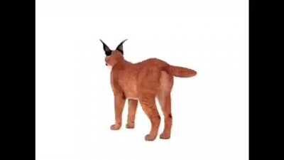 He do be spinnin tho 😳😳😳😳