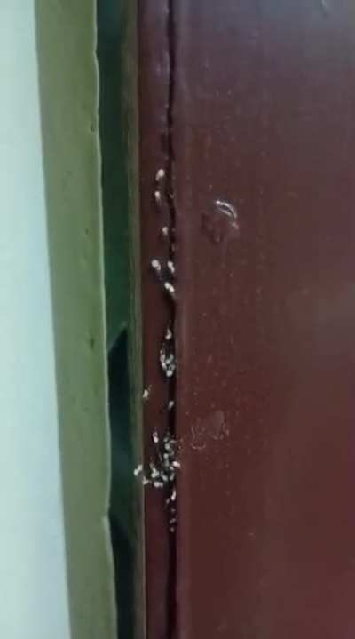 What's going on here?