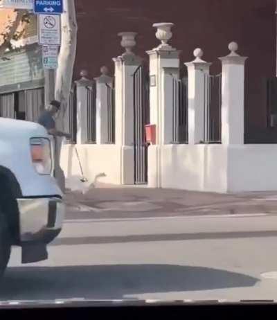 Guy casually walks his Goose.