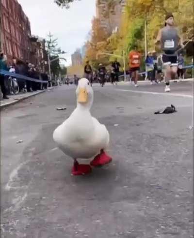 Interesting kicks at the NYC marathon. Zero heel drop and crazy wide toe box.