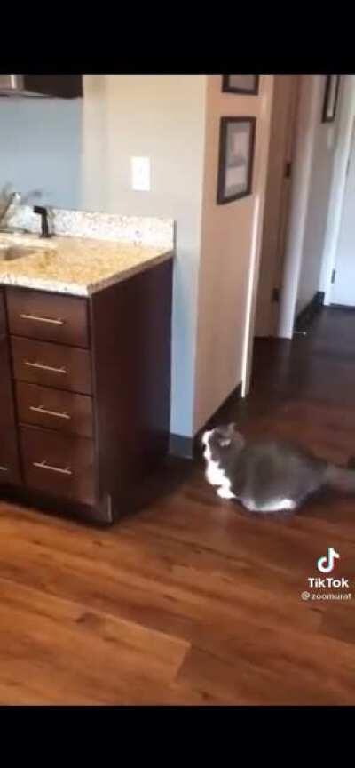 to reach the counter.