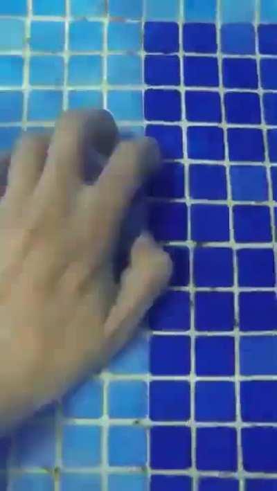 What were they thinking?