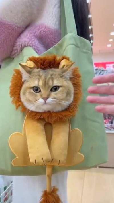 I Could Really Use A Bag Like That