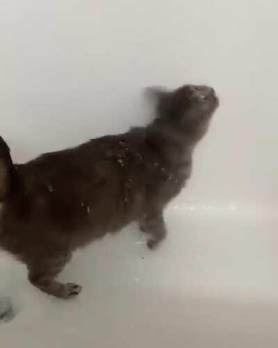 Bath time!