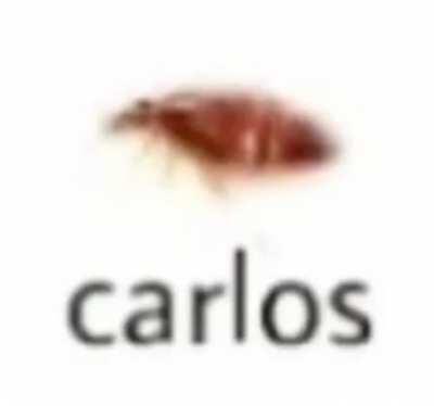 carlos