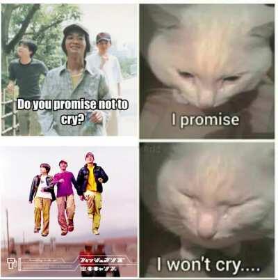 Kuchu Camp opening real melancholic