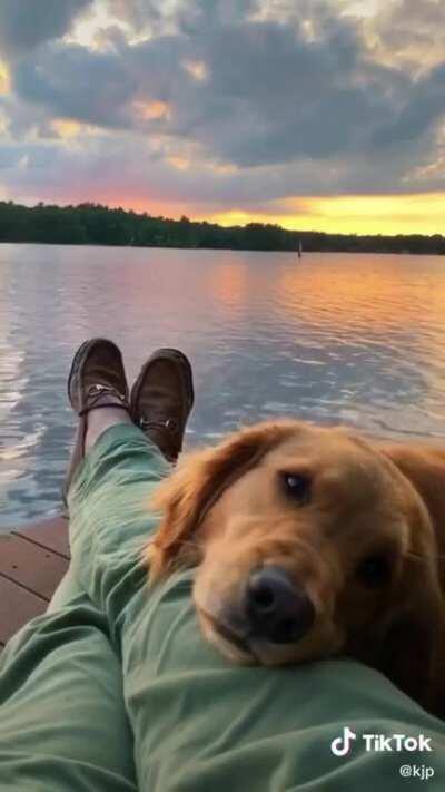 How much love has to be in his eyes for you to pet him?!