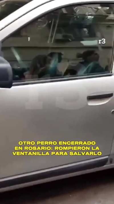 Otro perro encerrado en Rosario, rompieron la ventanilla para salvarlo