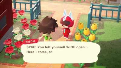 Kid cat was acting a bit...different today.