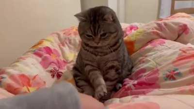 Don't touch me... why does he do that!!!