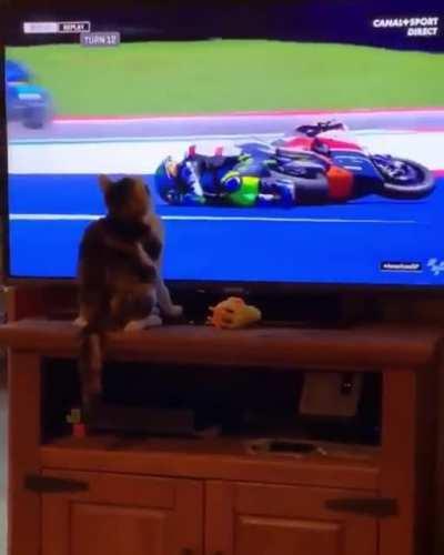 Fuck this bike in particular