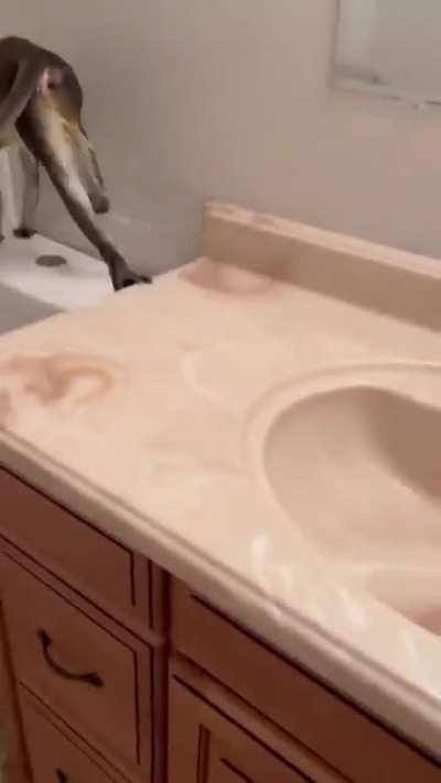 Pov: illojuan hace directo pero te tienes que duchar=duchita rapida